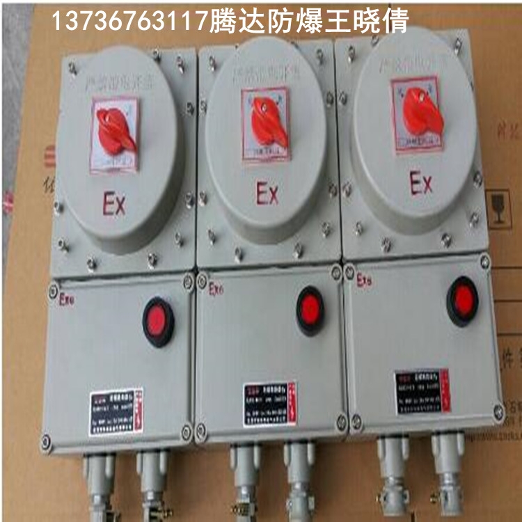 騰達(dá)BDZ52-10A防爆斷路器 防爆開關(guān)斷路器