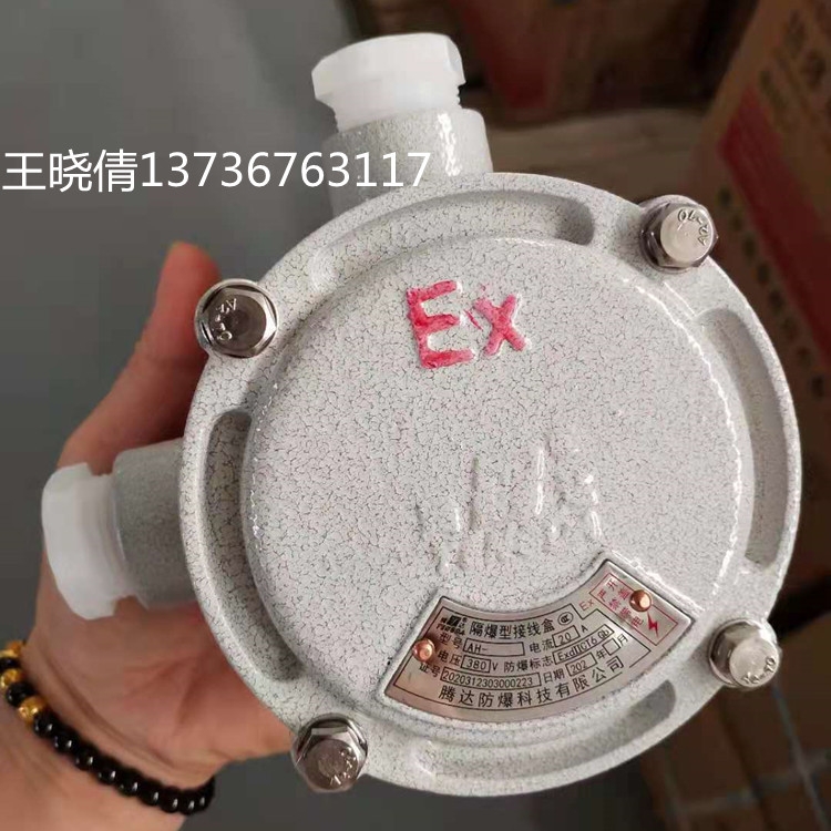 防爆接線盒 AH防爆接線盒生產(chǎn)廠家