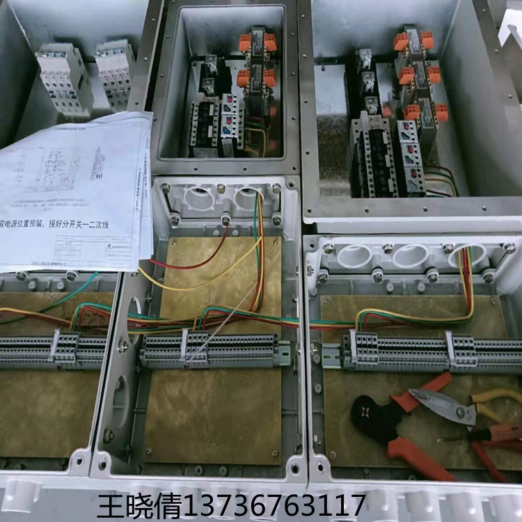 騰達(dá)防爆 集中應(yīng)急照明控制器50W