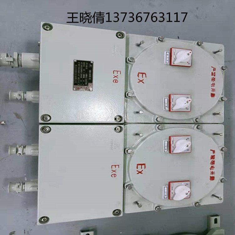騰達(dá)防爆 防爆檢修柜 防爆箱配電箱