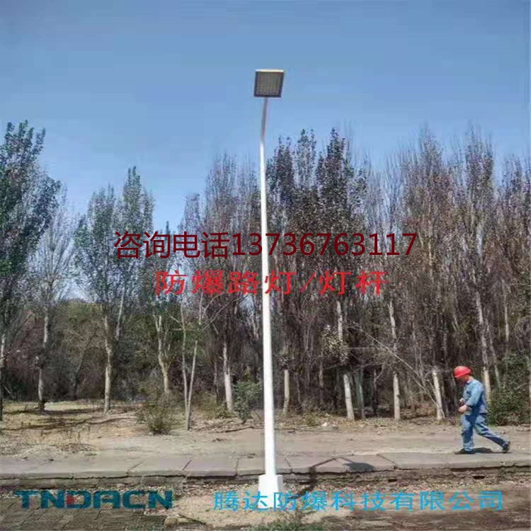 馬路燈生產(chǎn)廠家 騰達(dá)防爆路燈 平臺(tái)燈
