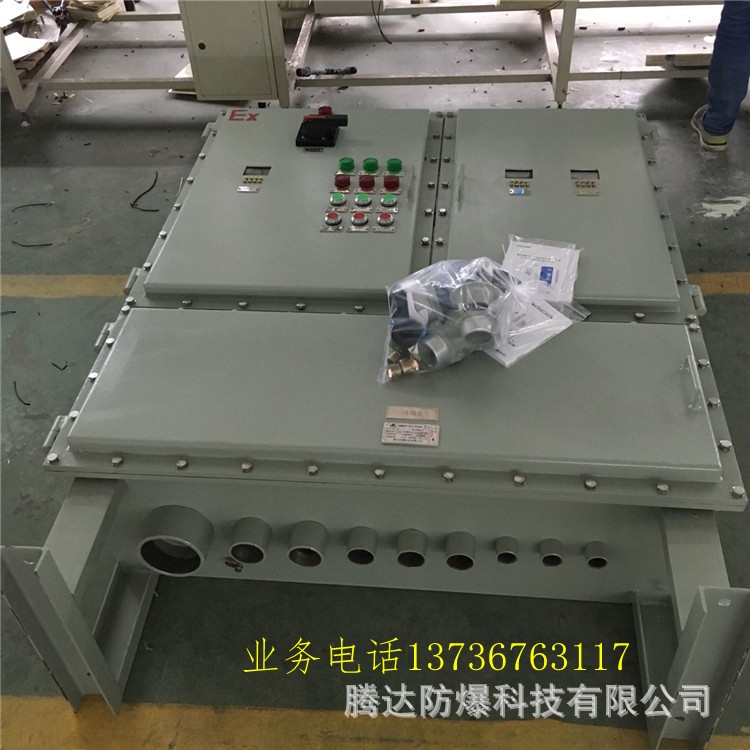 BXKBP化工現(xiàn)場(chǎng)防爆變頻器柜,防爆配電柜,控制箱專業(yè)廠家定制