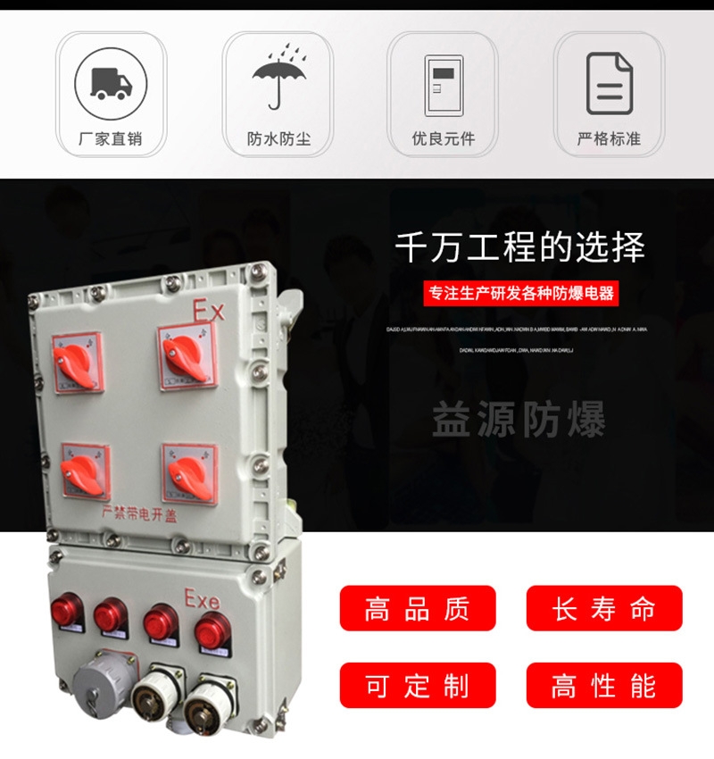 廠家直銷 防爆配電箱 防爆箱 BXM51 可定做