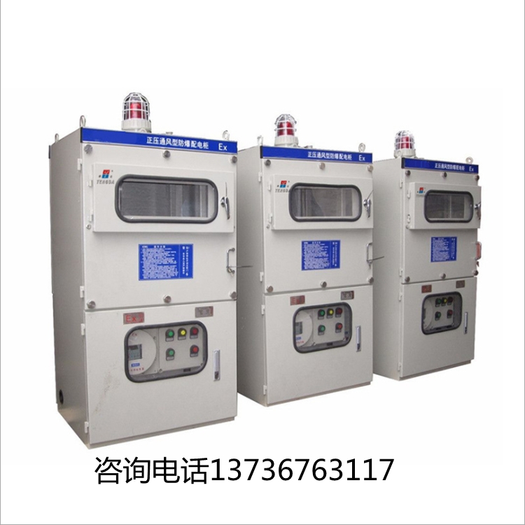 雙開(kāi)門通風(fēng)型防爆正壓柜專業(yè)生產(chǎn)大功率變頻器專用