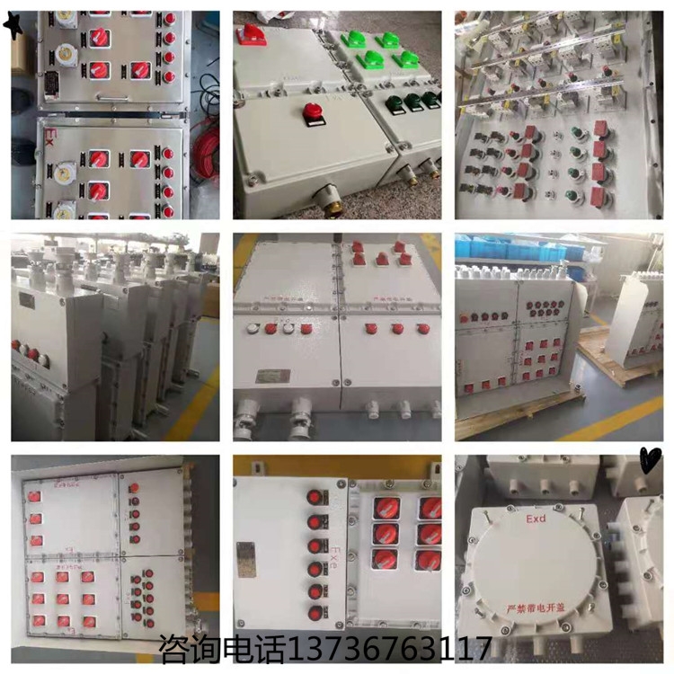 防爆配電箱非標(biāo)箱定制 防爆箱非標(biāo) 低壓配電箱生產(chǎn)廠家