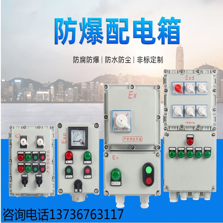 防爆配電箱 接線盒 接線箱定制