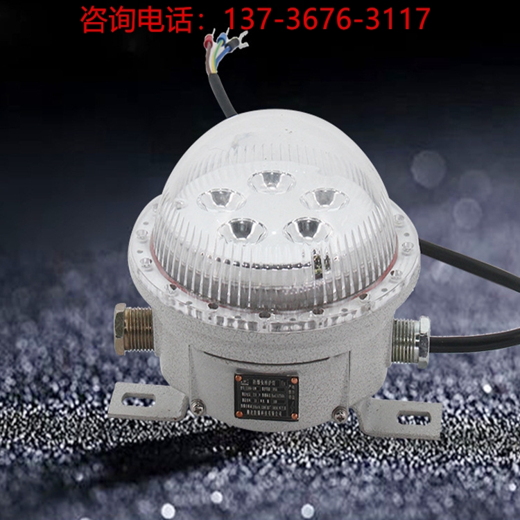 防爆免維護(hù)燈 吸頂式 集中照明集中電源