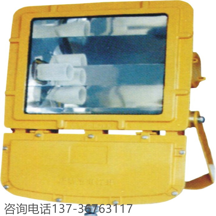BFC8110系列防爆泛光燈