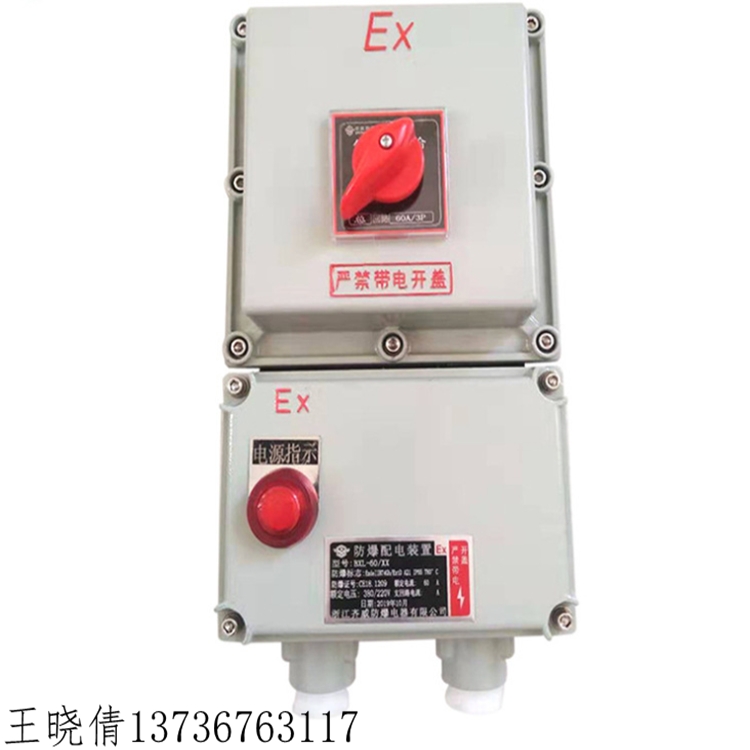 防爆轉(zhuǎn)換開(kāi)關(guān) 防爆倒順開(kāi)關(guān) BHZ防爆轉(zhuǎn)換開(kāi)關(guān) SW-10防爆開(kāi)關(guān)