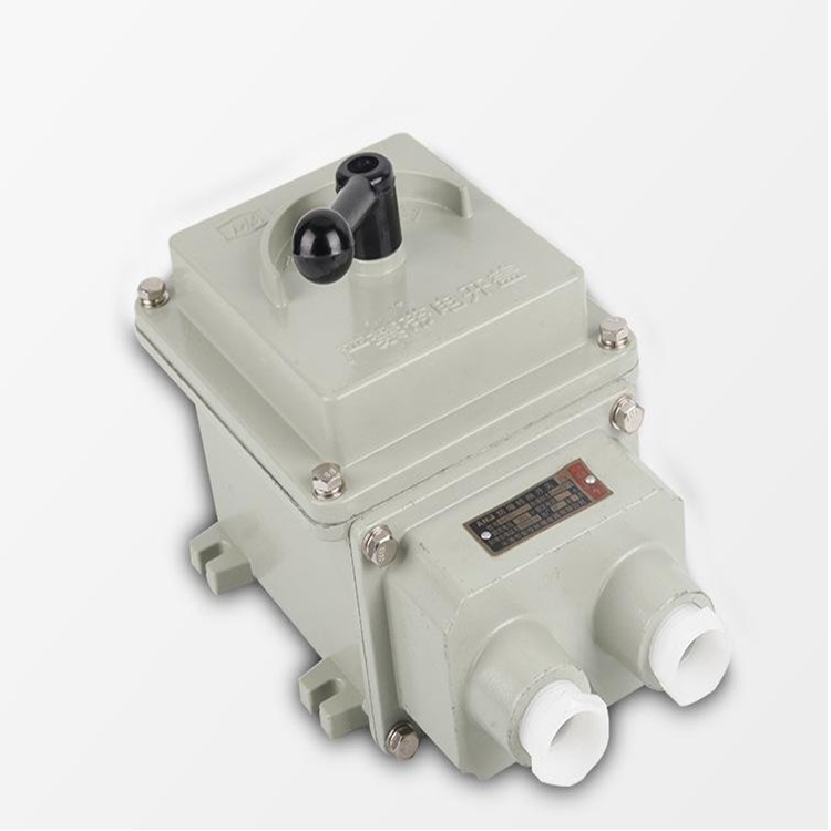 騰達(dá)BDZ52-63A防爆斷路器（DZ47型） 廠家直供