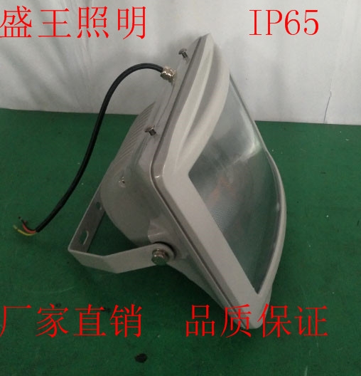 新型節(jié)能泛光燈SEF3220