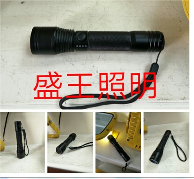 QC-FB103防爆指示燈