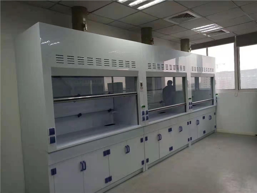 實驗室改造建設(shè) 潮州市pp實驗室通風櫥廠家價格