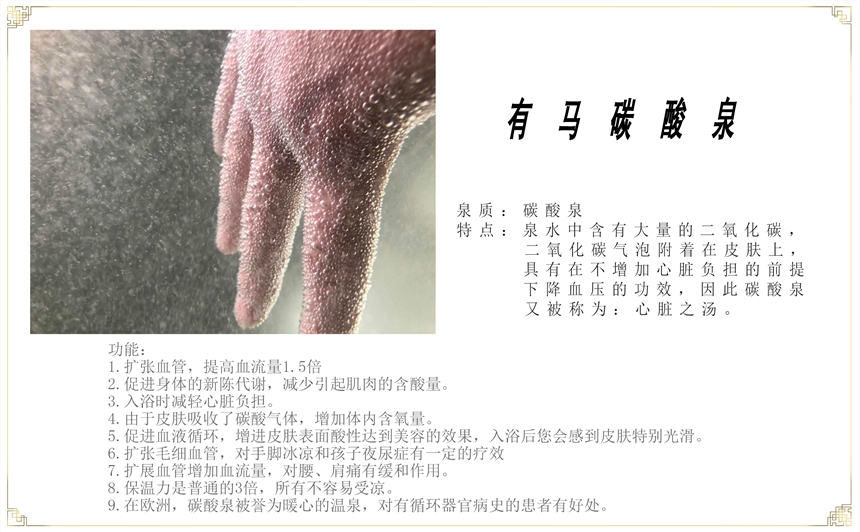 有馬碳酸溫泉人工溫泉機設備