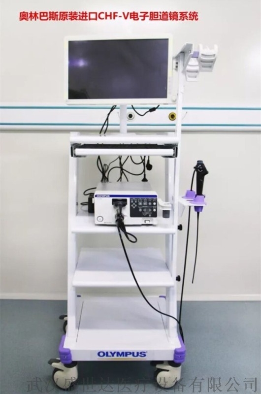 olympus奧林巴斯日本 顯微鏡系統	BX63	FV3000	FVMPE-RS	CKX5