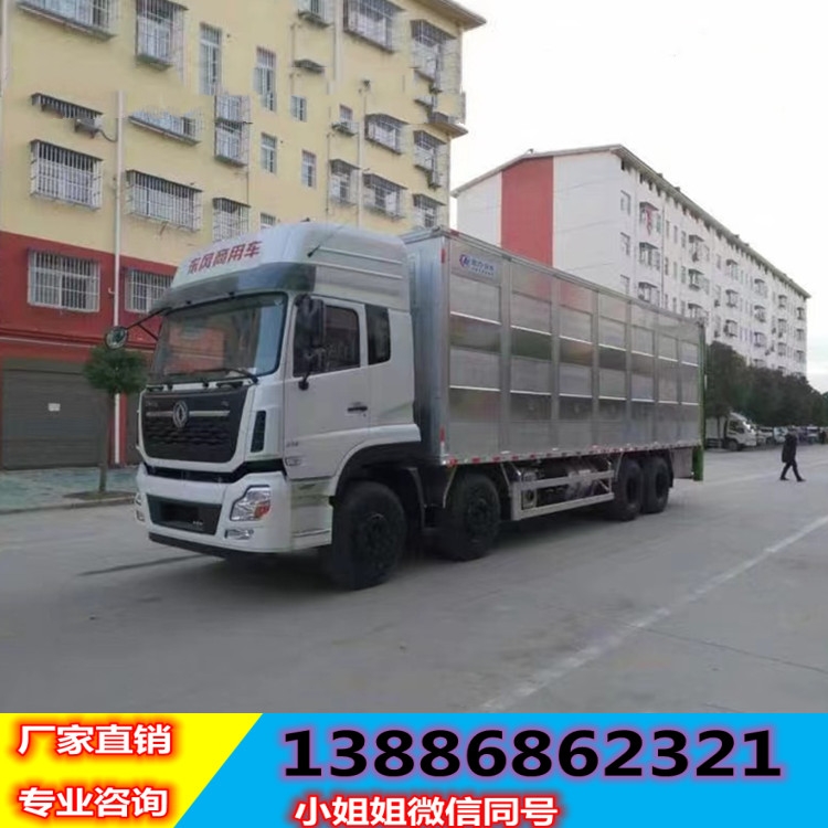 豬苗車?yán)i專用車廠家河北滄州運豬車多少錢