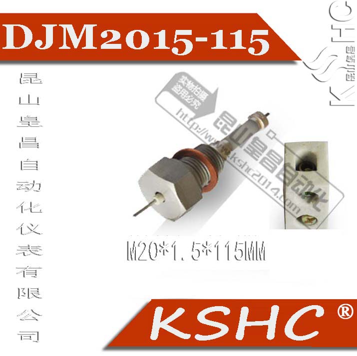 DJM2015水位計電極棒石家莊平山縣水位電極規(guī)格M16×1.5×87mm液位計電極