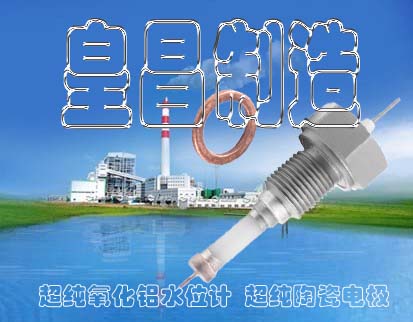 鍋爐超高純陶瓷水位電極鍋爐電極型號(hào)DJM2020-87