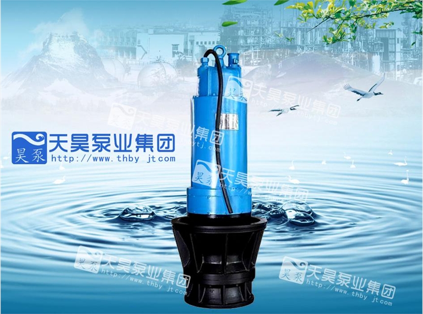 天昊井筒式潛水軸流泵生產(chǎn)廠家