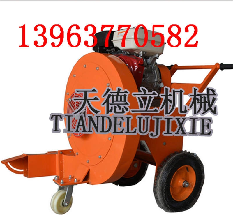 雙出風(fēng)口路面吹風(fēng)機(jī)  本田汽油機(jī)馬路吹風(fēng)機(jī)   13馬力路面吹風(fēng)機(jī)