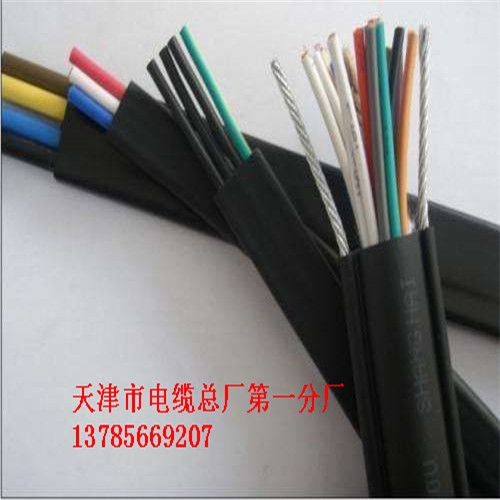 HSVVP電纜HSVVP（2*1.5）HSVVP電纜
