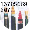DJYVPR系列 天聯(lián)屏蔽計算機電纜DJYVRP廠家直銷