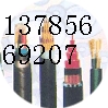 批發(fā)計(jì)算機(jī)電纜DJYPV 國標(biāo)阻燃計(jì)算機(jī)電纜ZR-DJYPV