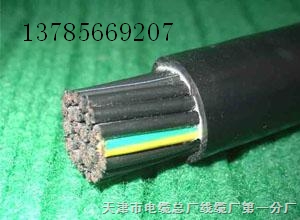 通訊電纜DJYP2V22鎧裝銅箔對屏蔽電纜