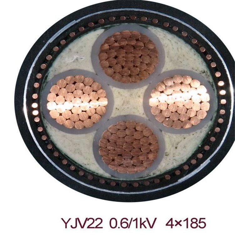 電子自動化系統(tǒng)電纜3*2*0.75 DJYPV計算機(jī)電纜