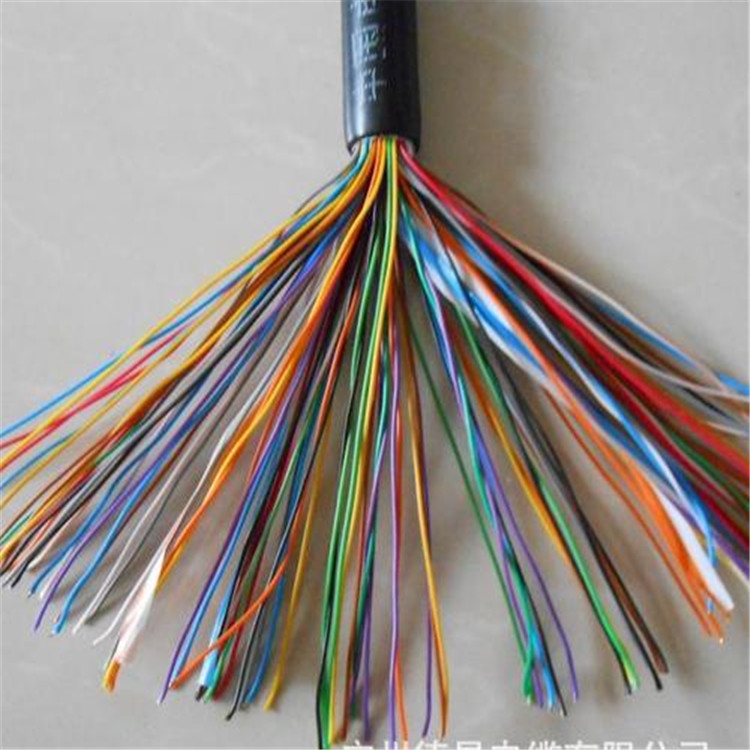 儀表屏蔽電纜ZRA-DJYPVR阻燃計(jì)算機(jī)通訊電纜