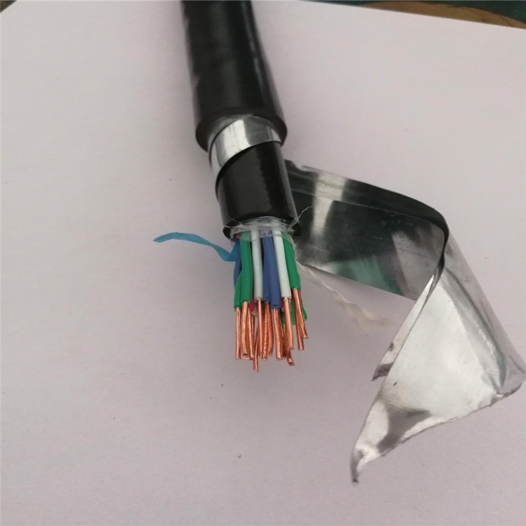 RVSP2X2X1.5平方2對(duì)雙絞兩層屏蔽鍍錫網(wǎng)485通信電纜線