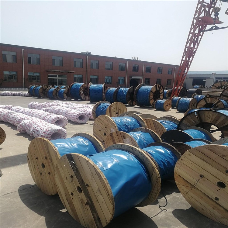 計算機屏蔽電纜DJYVP3R-5×2×1.0純銅國標電纜廠家直銷