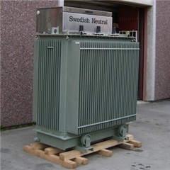 瑞典Swedish Neutral變壓器