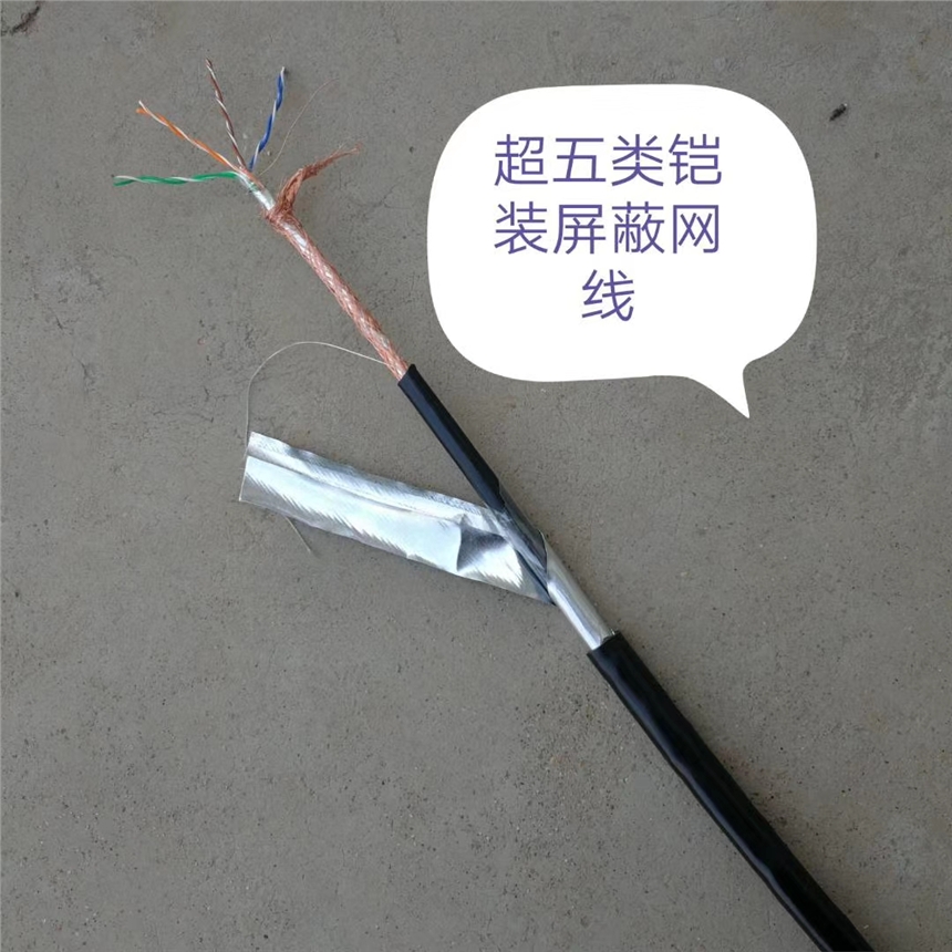計(jì)算機(jī)電纜 DJYVP2*2*1.5