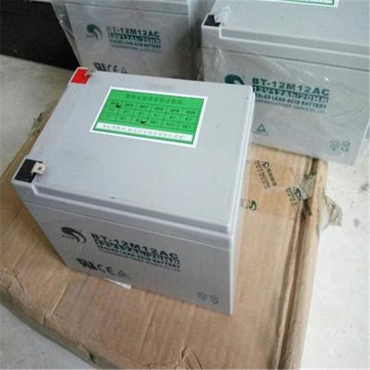 賽特蓄電池BT-HSE-33-12 12V33AH