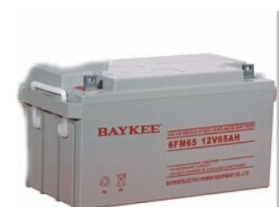 BAYKEE柏克蓄電池6FM100/12V100AH電力項目專用