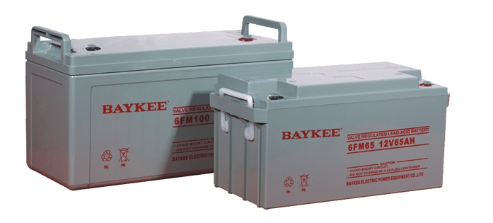BAYKEE蓄電池6FM24/12V24AH柏克蓄電池專(zhuān)營(yíng)公司