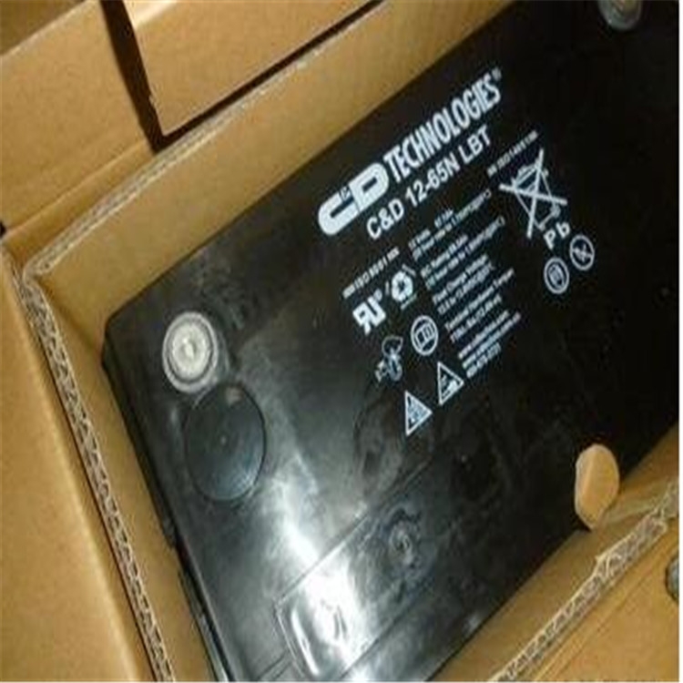 LIBERTY 西恩迪大力神蓄電池 C&D12-242LBT