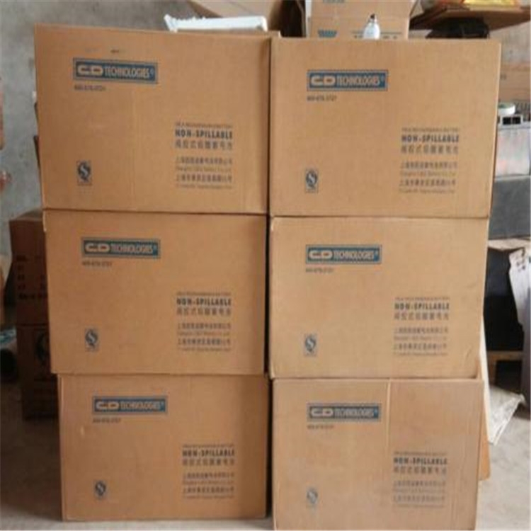 大力神蓄電池C&D12-211LBT 12V211AH