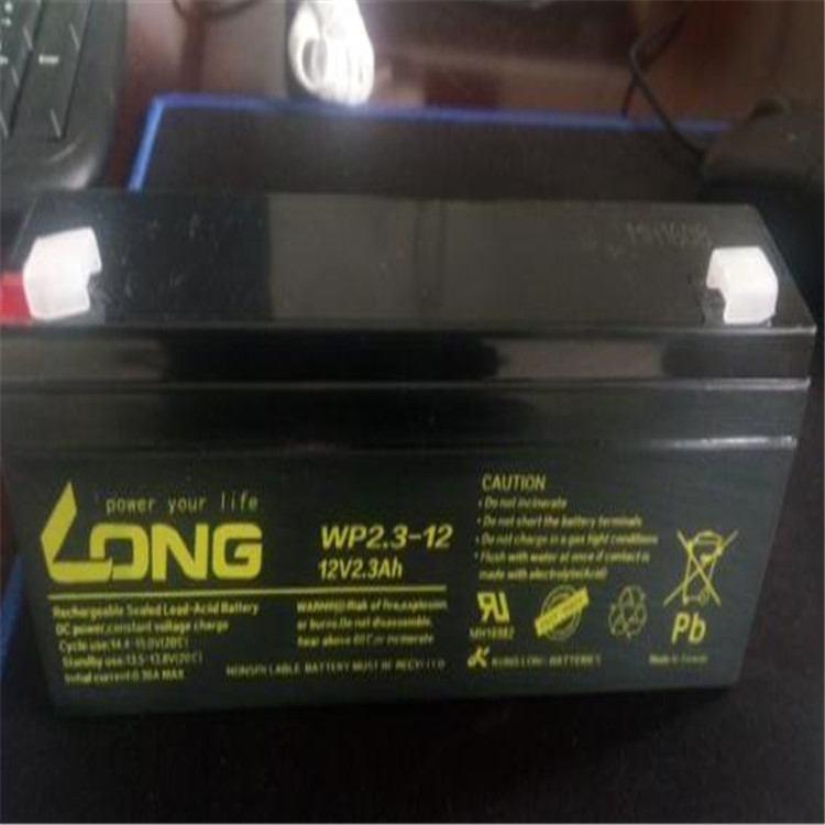 廣隆蓄電池LG50-12/12V50AH