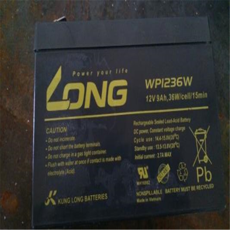 廣隆蓄電池WP40-12 12V40AH耐高溫電廠鋼廠專用