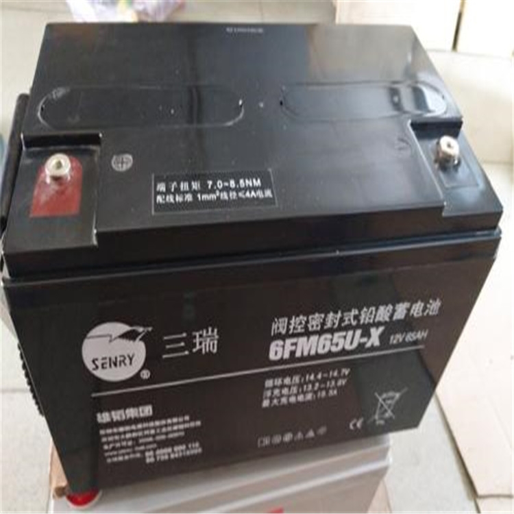 三瑞蓄電池6FM100-X 三瑞12V100ah蓄電池源頭生產(chǎn)商