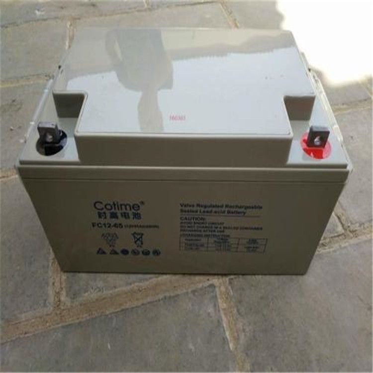 時高蓄電池 PLATINE12-24 12V-24AH新價格