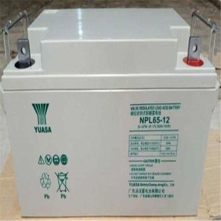 湯淺蓄電池NP215-12.12V215AH含稅運(yùn)到手價格