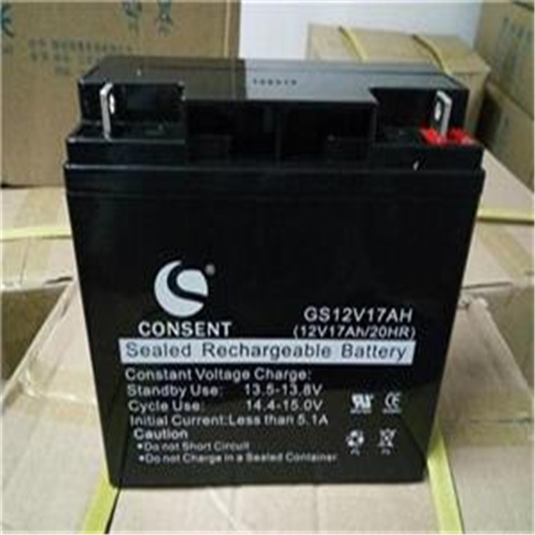 光盛CONSENT蓄電池GL2V100AH經(jīng)銷商新價格