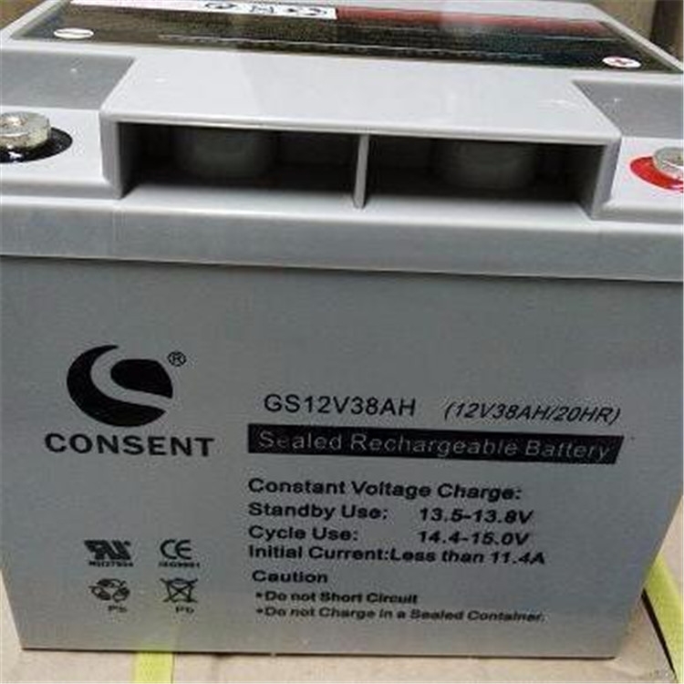 光盛蓄電池GS12-38電力專用
