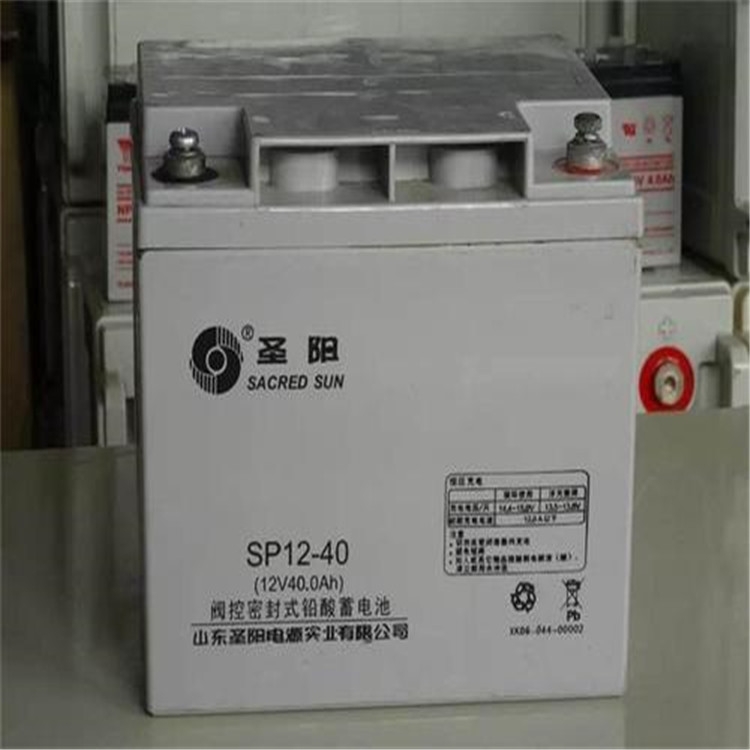 圣陽(yáng)蓄電池SP12-200 圣陽(yáng)12V200AH蓄電池電廠(chǎng)煉鋼廠(chǎng)專(zhuān)用
