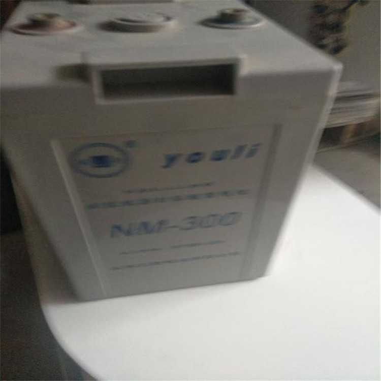 有利蓄電池6-GFM-17 12V17AH批發(fā)商含稅運賣價