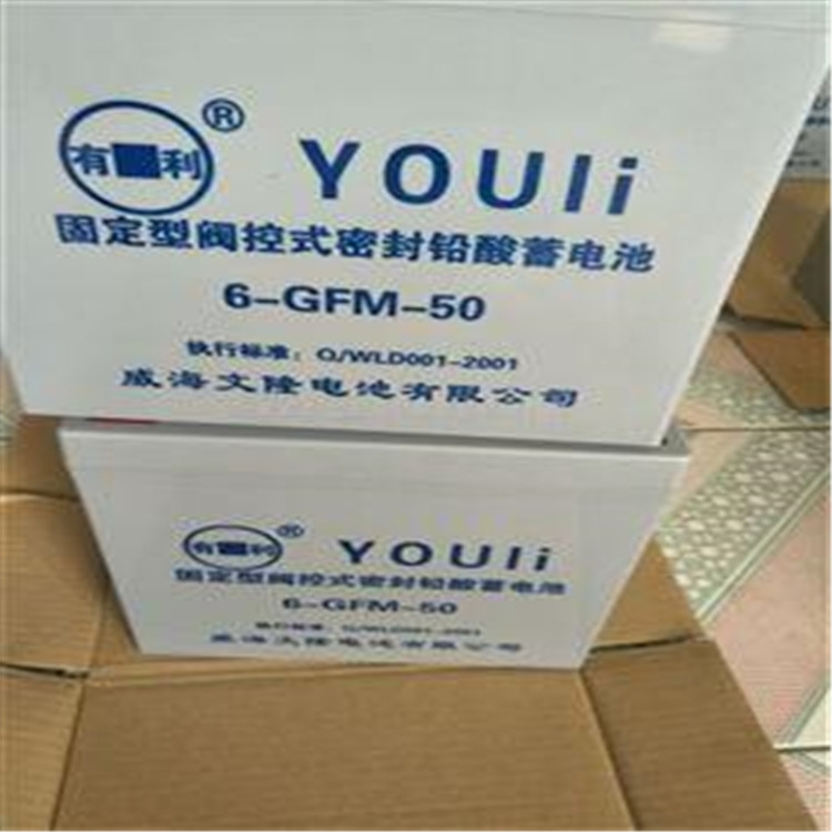 有利蓄電池 6-GFM-150寧波供應(yīng)商