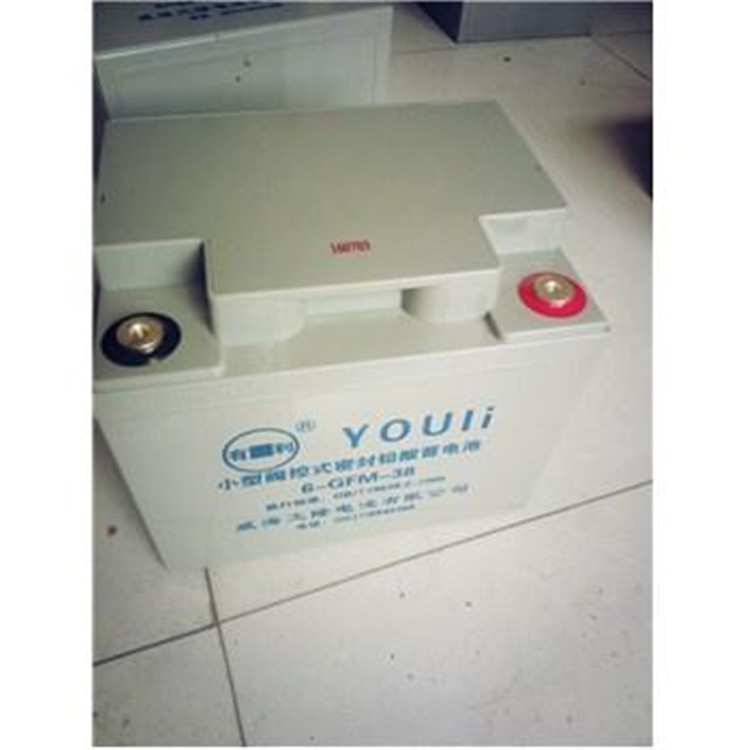 有利蓄電池6-GFM-120 12V120AH價格尺寸